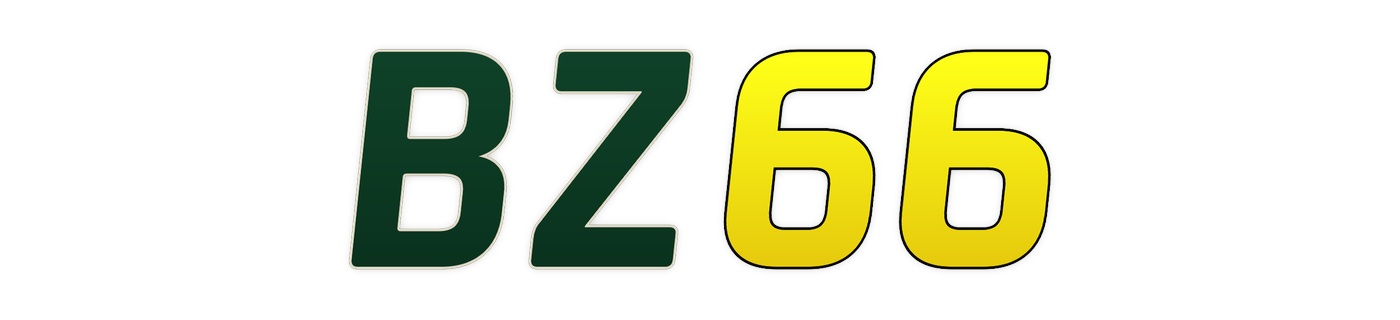 bz66